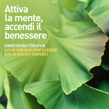 Carica l'immagine nel visualizzatore di Gallery, LongLife® Ginkgo Forte | Integratore di ginkgo con centella, colina e inositolo | Microcircolo, memoria e funzioni cogni