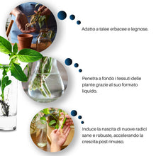 Carica l'immagine nel visualizzatore di Gallery, GebEarth® | Radicante per piante liquido Plus【500 ML】| Formulazione esclusiva che velocizza e potenzia la crescita di ra