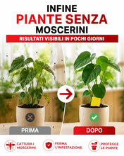 Carica l'immagine nel visualizzatore di Gallery, PIC Trappola per Moscerini 60x – Carte Adesive Gialle per Piante da Interno