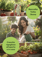 Carica l'immagine nel visualizzatore di Gallery, HERBAL AGE Semi Piante Aromatiche Kit Giardinaggio, 12 Erbe Aromatiche Kit Semi Orto, 8700 semi, Lattuga, Prezzemolo, An