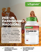 Carica l'immagine nel visualizzatore di Gallery, vit4ever Vitamina B3 (Niacina) - 365 Compresse - 500 mg Nicotinamide