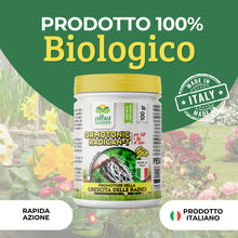 Carica l'immagine nel visualizzatore di Gallery, Albagarden - Ormone Radicante per Talee e Piante - 100g Polvere Universale