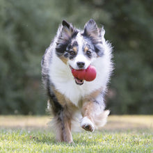 Carica l'immagine nel visualizzatore di Gallery, KONG Classic Giocattolo da Masticare Riempibile per Cani, Taglia Media