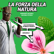 Carica l'immagine nel visualizzatore di Gallery, RepellShield Spray Repellente Topi e Anti Martora per Auto 250ml