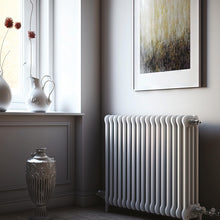 Carica l'immagine nel visualizzatore di Gallery, MAXMEYER Diretto Termosifoni Satinato R9010 Bianco 0.5 L