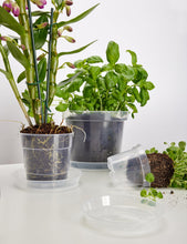 Carica l'immagine nel visualizzatore di Gallery, Garronda Sottovaso per Piante Rotondi in Plastica da Esterno e da Interno per Fiori e Giardini GD-0026 (1 Pezzo - Traspa