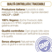 Carica l'immagine nel visualizzatore di Gallery, Magnesio Bisglicinato 120 Capsule con Vitamine B1, B5, B6 per Stanchezza