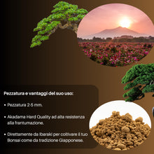 Carica l'immagine nel visualizzatore di Gallery, GebEarth® - Akadama Giapponese Professionale per Bonsai 2-5mm da 1L【Equilibrio Perfetto di Acqua, Aria &amp; Minerali】