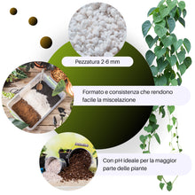 Carica l'immagine nel visualizzatore di Gallery, GebEarth® | Perlite per Piante in Vaso 3L | Pezzatura 2-6 mm | Migliora il Drenaggio dell’acqua | Perlite Espansa ideale