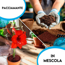 Carica l'immagine nel visualizzatore di Gallery, ZOMA VULC Lapillo vulcanico per piante 3/5 mm, migliora drenaggio e composizione del substrato, Ideale per bonsai, piant