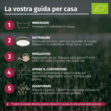 Carica l'immagine nel visualizzatore di Gallery, LERAVA® x Profarms - Microgreens Mix [BIO] - set di semi per germogli - 6 varietà di semi di crescione + pannelli in fib