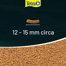 Carica l'immagine nel visualizzatore di Gallery, Tetra Pond Koi Sticks - Mangime completo per koi, 10 L