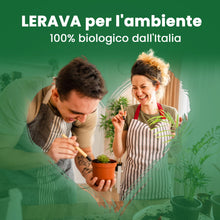 Carica l'immagine nel visualizzatore di Gallery, LERAVA Fertilizzante piante verdi al coperto (800 g) - Fertilizzante biologico con ferro e manganese per fogliame vigoro