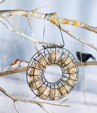 Carica l'immagine nel visualizzatore di Gallery, Dehner Natura Premium Mangime per uccelli selvatici, palline per cinciallegre, senza rete, 30 pezzi, 90 grammi ciascuno 