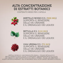 Carica l'immagine nel visualizzatore di Gallery, Integratore 100% naturale con MIRTILLO ROSSO E UVA URSINA - utili per la funzionalità delle vie urinarie, con BETULLA - 