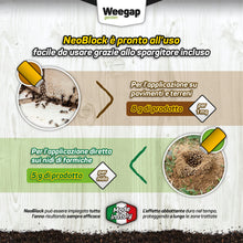 Carica l'immagine nel visualizzatore di Gallery, Insetticida Formiche Scarafaggi Blatte Elimina Nido, Formicaio e Insetti, Veleno in Polvere, Potente Esca Antiformiche p