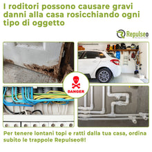 Carica l'immagine nel visualizzatore di Gallery, Trappola Adesiva per Topi e Ratti, Grandi Trappole con Colla Professionali, Cattura di roditori, ultra Appiccicoso (10 P