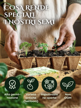 Carica l'immagine nel visualizzatore di Gallery, HERBAL AGE Kit Semi Ortaggi, 12 Varietà di Semi Orto – 5100 Semi da Piantare, Pomodori, Carote, Cetrioli, Zucchine – Ide