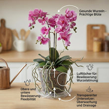 Carica l'immagine nel visualizzatore di Gallery, Garten lux 10 Vasi Trasparenti per Orchidee Grandi Ø17cm, con Sottovasi