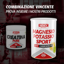 Carica l'immagine nel visualizzatore di Gallery, WHY SPORT CREATINA PURE - Creatina Monoidrato - Pre Workout - Integratore Alimentare a Base di Creatina Monoidrato Creap