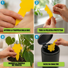 Carica l'immagine nel visualizzatore di Gallery, OLLIE Trappola per Moscerini delle Piante, 30 Trappole Cromotropiche Gialle