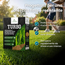Carica l'immagine nel visualizzatore di Gallery, LERAVA TURBO Semi Loietto Perenne (30 m²) - Semi prato a Crescita Rapida - Fine Tessitura - Sementi per Prato Resistente