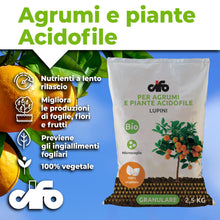 Carica l'immagine nel visualizzatore di Gallery, CIFO - Concime Agrumi a Base di Lupini Macinati per Limoni, Aranci e Piante Acidofile - Concime Granulare, Biologico e 1