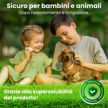 Carica l'immagine nel visualizzatore di Gallery, LERAVA STARTER concime prato autunno (15 m²) - ad alto contenuto di fosforo - favorisce crescita forte e resistenza del 