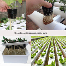 Carica l'immagine nel visualizzatore di Gallery, ORIMERC 30 pezzi netti pots da 7,6cm con stoppino idroponico da 9m, per acquaponica, vaso da muratore, secchielli per or