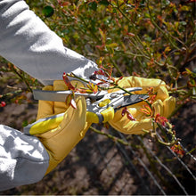 Carica l'immagine nel visualizzatore di Gallery, Praknu Guanti da Giardinaggio Antispine Taglia L – per Raccolta Castagne