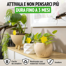 Carica l'immagine nel visualizzatore di Gallery, Super Ninja Trappole Moscerini Piante da Interno, 30 Pezzi