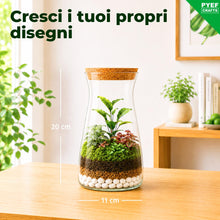 Carica l'immagine nel visualizzatore di Gallery, Kit Terrarium con Vaso in Vetro