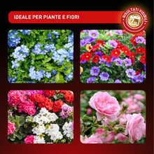 Carica l'immagine nel visualizzatore di Gallery, NutriONE Concime Liquido Concentrato per Piante e Fiori per risultati in 7 Giorni! 1L