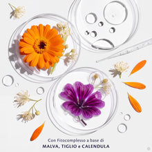 Carica l'immagine nel visualizzatore di Gallery, Alkagin Polvere Intima assorbente a base di Calendula, Malva e Tilia, Assorbe il sudore e l'umidità, Previene le Irritaz
