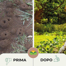 Carica l'immagine nel visualizzatore di Gallery, Albagarden - Veleno per Formiche per Orto, Insetticida Giardino e Prato - Anti Formiche Scarafaggi Grillotalpa Pulci Zec