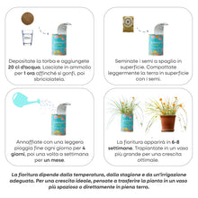 Carica l'immagine nel visualizzatore di Gallery, Kit di Coltivazione di Fiori da Regalare con Messaggio - Regalo di Compleanno per Donna e Uomo Regalo Originale Amici Fa