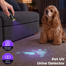 Carica l'immagine nel visualizzatore di Gallery, DARKBEAM Torcia UV 395nm LED Torce Luce Nera Ultravioletta