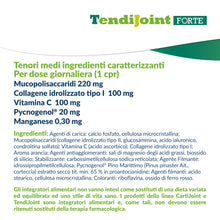 Carica l'immagine nel visualizzatore di Gallery, Fidia Farmaceutici TendiJoint FORTE - 20 Compresse, Integratore Alimentare Senza Glutine e Lattosio