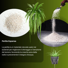 Carica l'immagine nel visualizzatore di Gallery, GebEarth® | Perlite per Piante in Vaso 3L | Pezzatura 2-6 mm | Migliora il Drenaggio dell’acqua | Perlite Espansa ideale