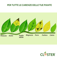 Carica l'immagine nel visualizzatore di Gallery, CLOSTER Microelementi 250 ML - Concime Liquido Universale e Fertilizzante Piante - rimedio naturale contro le Carenze di