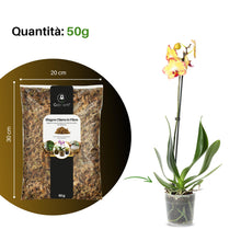 Carica l'immagine nel visualizzatore di Gallery, GebEarth®| Sfagno Cileno in Fibre: Substrato per Orchidee, Bonsai e Carnivore | Perfetto per Kokedama, Verde Verticale, 
