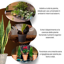 Carica l'immagine nel visualizzatore di Gallery, GebEarth® | Terriccio Universale Protein Base | Nutrimento Prolungato e Sostegno Avanzato per Crescita Sana | Ideale per