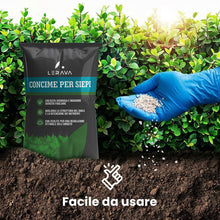 Carica l'immagine nel visualizzatore di Gallery, LERAVA Concime siepe (1,7 kg) - fertilizzante a lenta cessione - crescita rigogliosa - per siepi verdi e dense - ideale 
