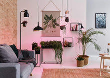 Carica l'immagine nel visualizzatore di Gallery, Paulmann Edition Grow Green LED con filamento e riflettore E27 R80 6,5 W 1300 K