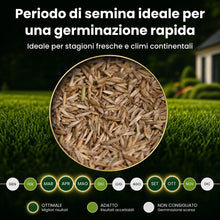 Carica l'immagine nel visualizzatore di Gallery, LERAVA TURBO Semi Loietto Perenne (30 m²) - Semi prato a Crescita Rapida - Fine Tessitura - Sementi per Prato Resistente