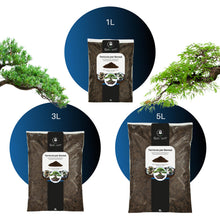 Carica l'immagine nel visualizzatore di Gallery, GebEarth® - Terriccio Specifico per Bonsai | Substrato Professionale per Radici più Forti e Aerazione Ottimale 【3L】