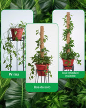 Carica l'immagine nel visualizzatore di Gallery, 4 Pezzi Asta Muschio Monstera 40 cm - Supporto per Piante in Fibra di Cocco per Monstera, Piante Espandibili e Rampicant