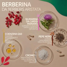 Carica l'immagine nel visualizzatore di Gallery, Berberina con Cromo Picolinato, Silimarina, Cardo Mariano, Coenzima Q10