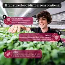 Carica l'immagine nel visualizzatore di Gallery, LERAVA® x Profarms - Microgreens Mix [BIO] - set di semi per germogli - 6 varietà di semi di crescione + pannelli in fib