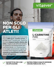 Carica l'immagine nel visualizzatore di Gallery, vit4ever L-Carnitine Pure - 300 g di polvere pura senza additivi